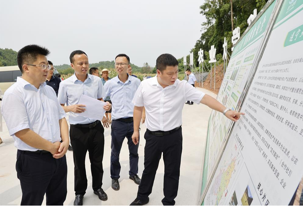 吴军调研督导精品村和农业园区建设